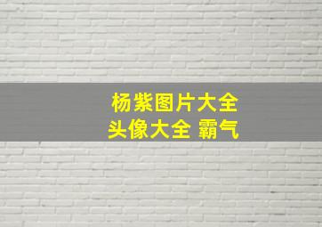 杨紫图片大全头像大全 霸气